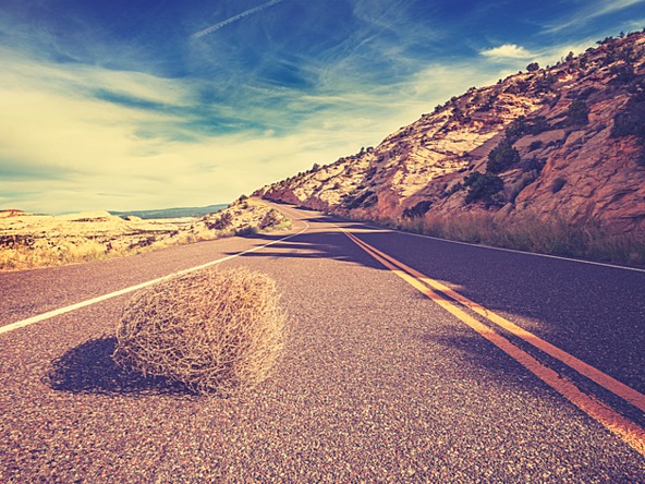 tumbleweed on an empty remote coastal road framed by hills